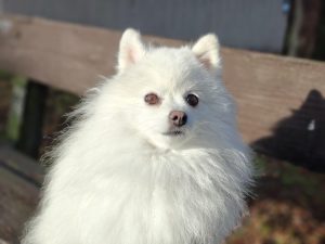 IMG20240217093158