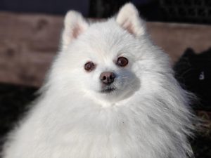 IMG20240217093202