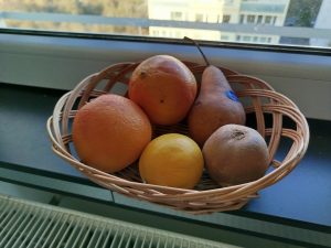 IMG 20231206 135259