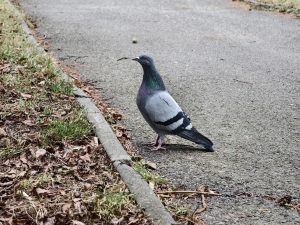 IMG 20240206 125207