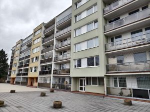 IMG 20240206 125553