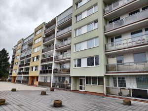 IMG 20240206 125559