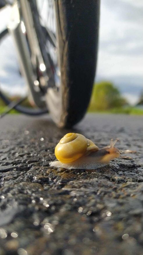 Výherní fotografie (2. místo)