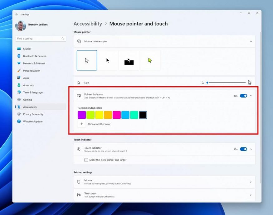 mouse pointer indicator settings