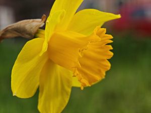 IMG 20240301 020610