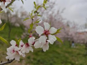 IMG 20240301 061422