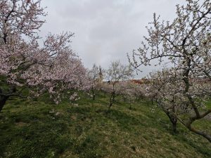 IMG 20240301 061458