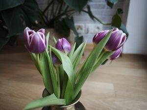 IMG 20240301 104214