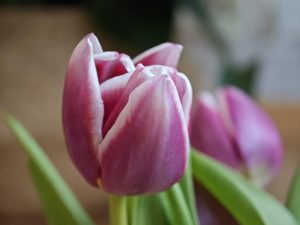 IMG 20240301 104250