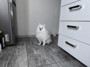 IMG 20240304 102002