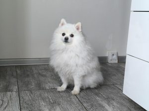 IMG 20240304 102005