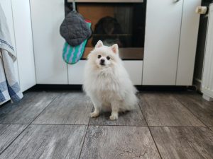 IMG 20240306 171451