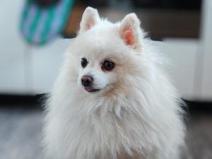 IMG 20240306 171502