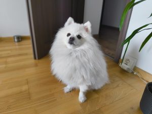 IMG 20240313 111150619
