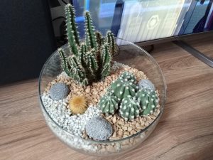 Fotografie pořízená tabletem Lenovo Tab M11