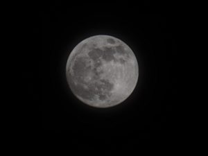 IMG 20240324 205226