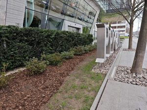 IMG 20240325 102559