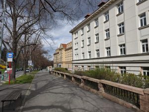IMG 20240325 132327