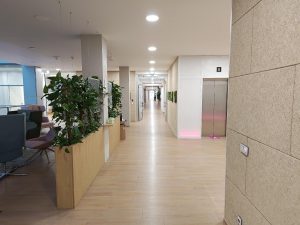 asus zenfone 11 ultra - testovací fotografie
