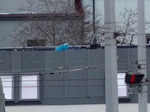 asus zenfone 11 ultra - ukázková galerie