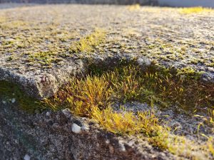 asus zenfone 11 ultra - testovací fotografie