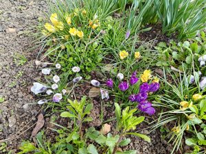 asus zenfone 11 ultra - testovací fotografie
