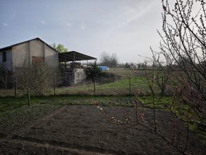IMG 20240330 163208