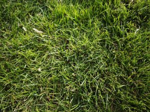 IMG 20240330 163455