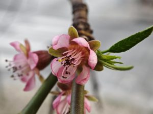IMG 20240330 175334