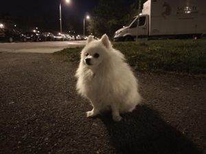 IMG 20240401 005749