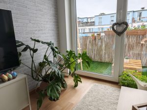 IMG 20240415 113734