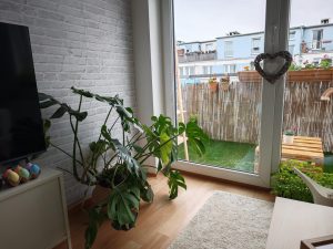 IMG 20240415 113739