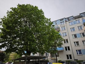 IMG 20240415 114729