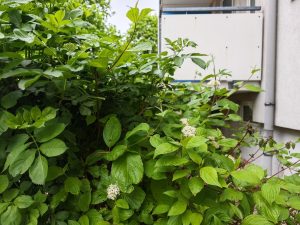 IMG 20240415 114736