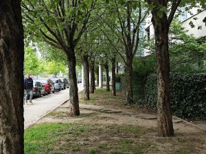 IMG 20240415 115257