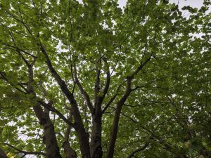 IMG 20240415 115318