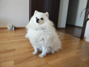 IMG 20240415 174651242 PORTRAIT