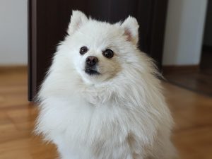 IMG 20240415 174705842 PORTRAIT