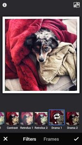 Google Plus v roce 2013 na iOS