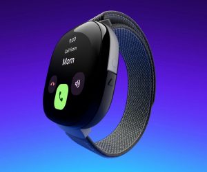 Fitbit