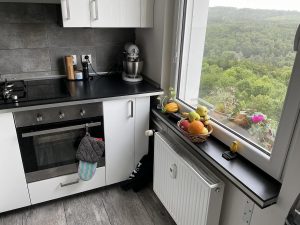 IMG 0018