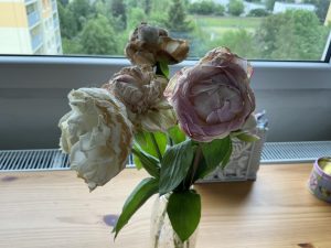 IMG 0021