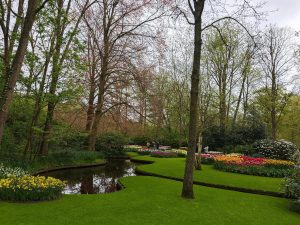 IMG 20240420 092618