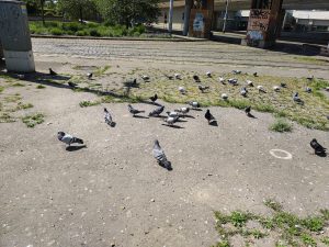 IMG 20240501 115248367 HDR