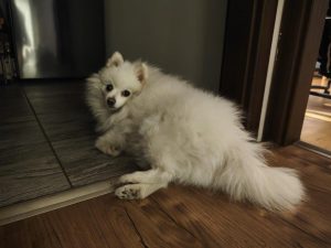 IMG 20240522 004427