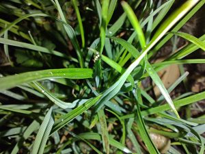 IMG 20240522 005238