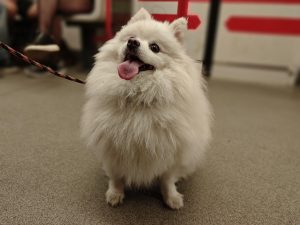 IMG 20240525 115723