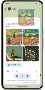 Vyhledávání informací o hře Pickleball