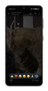 Reakce na média v aplikaci WhatsApp