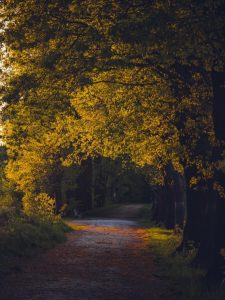 Fotografie Michala Petrů